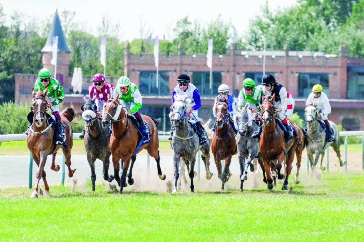 لقاء الأبطال في القمة البلجيكية لكأس رئيس الدولة للخيول العربية غداً