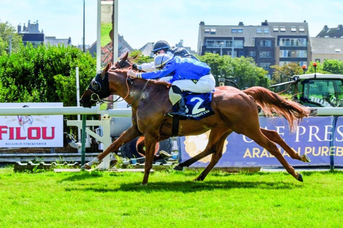 لقاء الأبطال في القمة البلجيكية لكأس رئيس الدولة للخيول العربية غداً