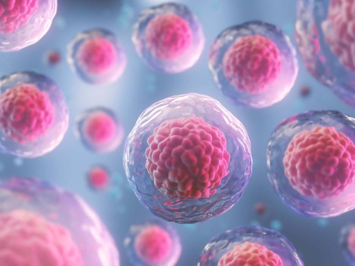 دراسة: رحلات الفضاء تسرع شيخوخة الخلايا المكونة للدم