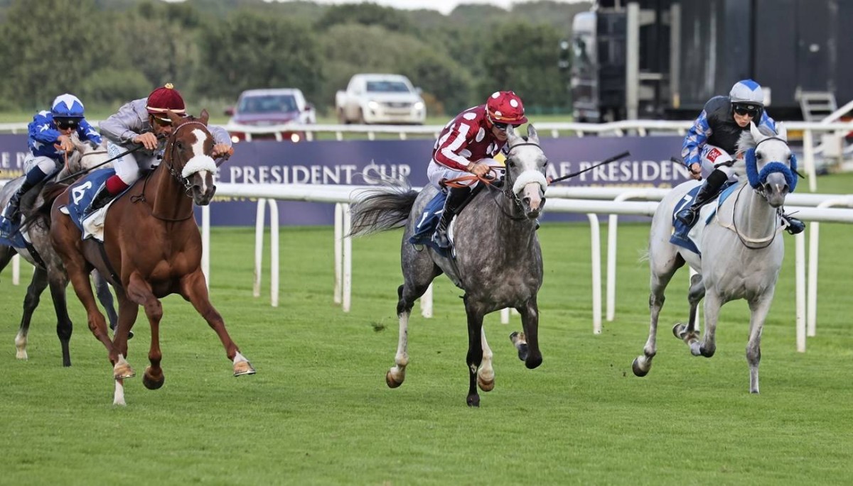 ثمانية خيول تتنافس على لقب كأس رئيس الدولة للخيول العربية في يوركشاير