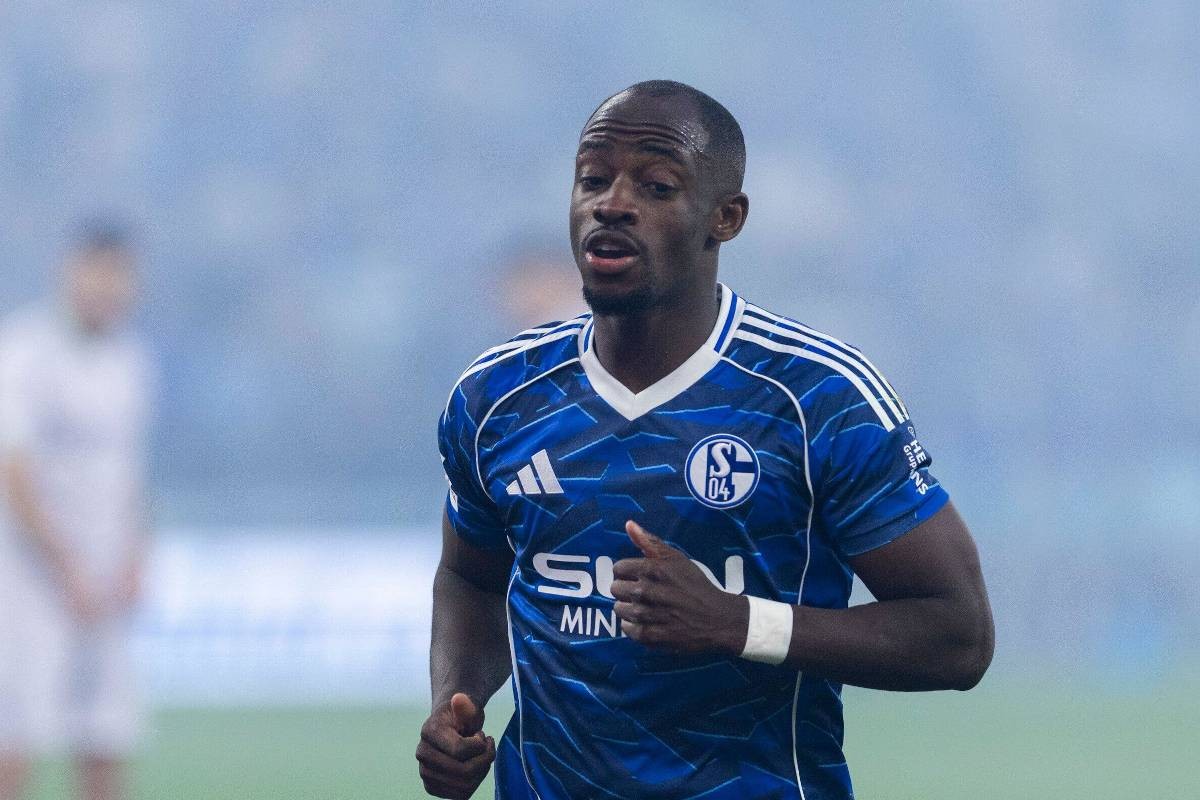 أنتوي أديجي 