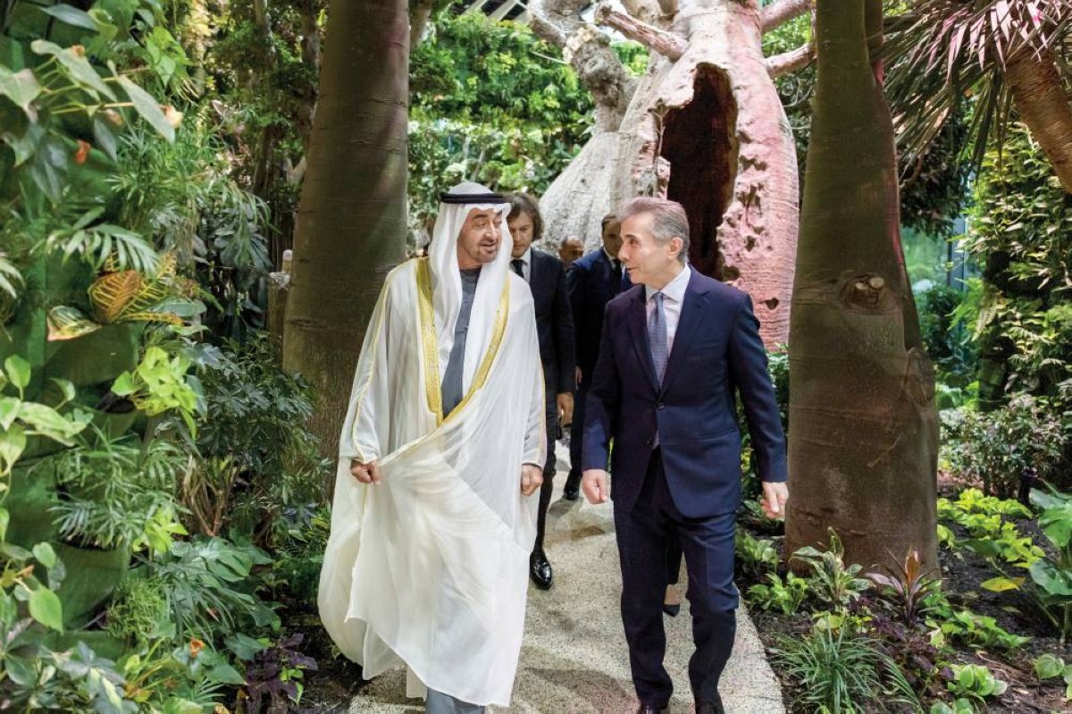 محمد بن زايد خلال لقائه بيدزينا إيفانيشفيلي