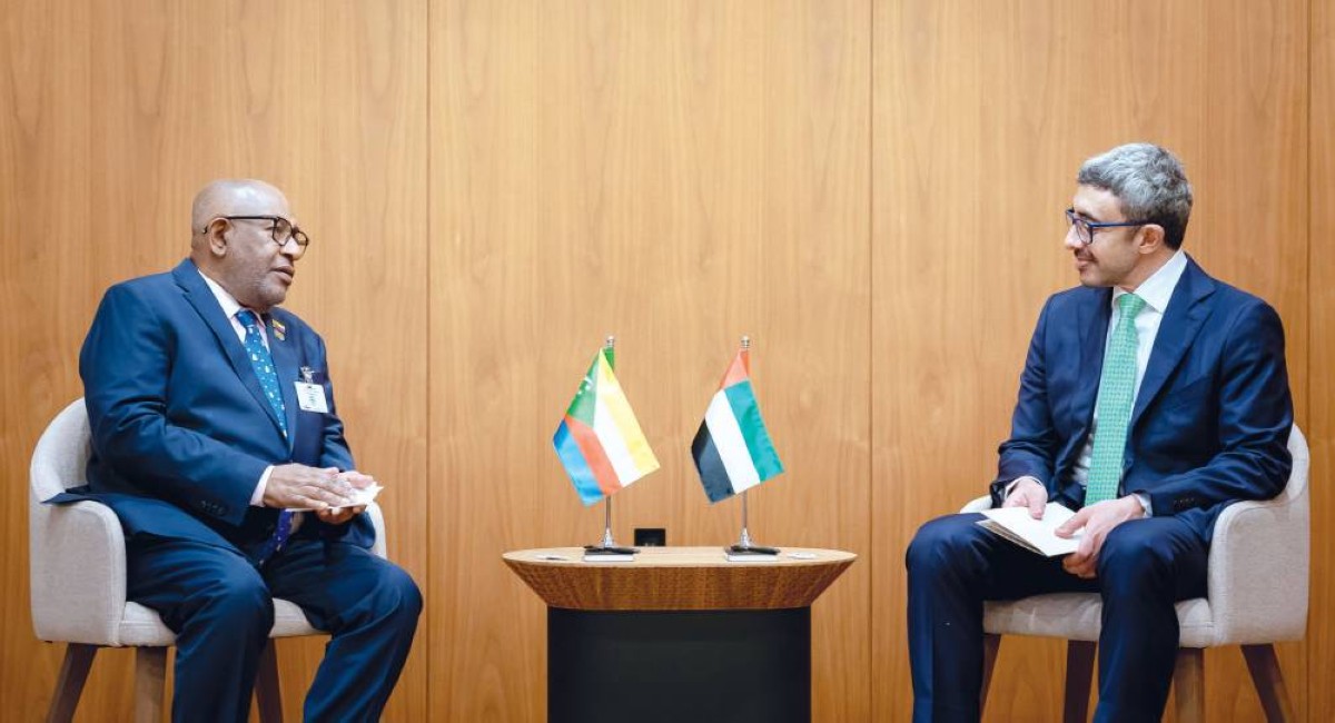 عبدالله بن زايد وعثمان غزالي خلال اللقاء 