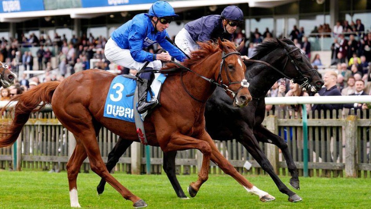 بطل افتتاح المهرجان بيكفوردز فولي لجودلفين 