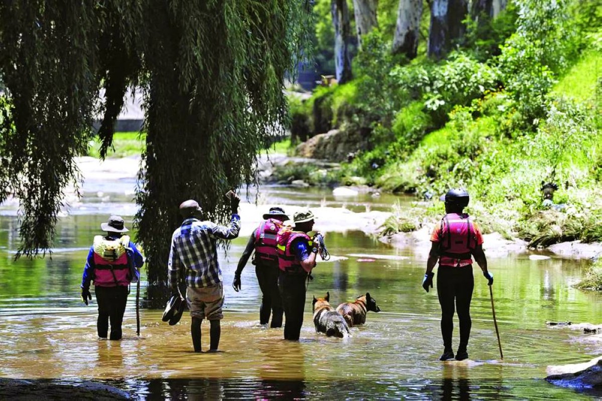 غريزة البقاء تكافح تيار ماء هائجاً