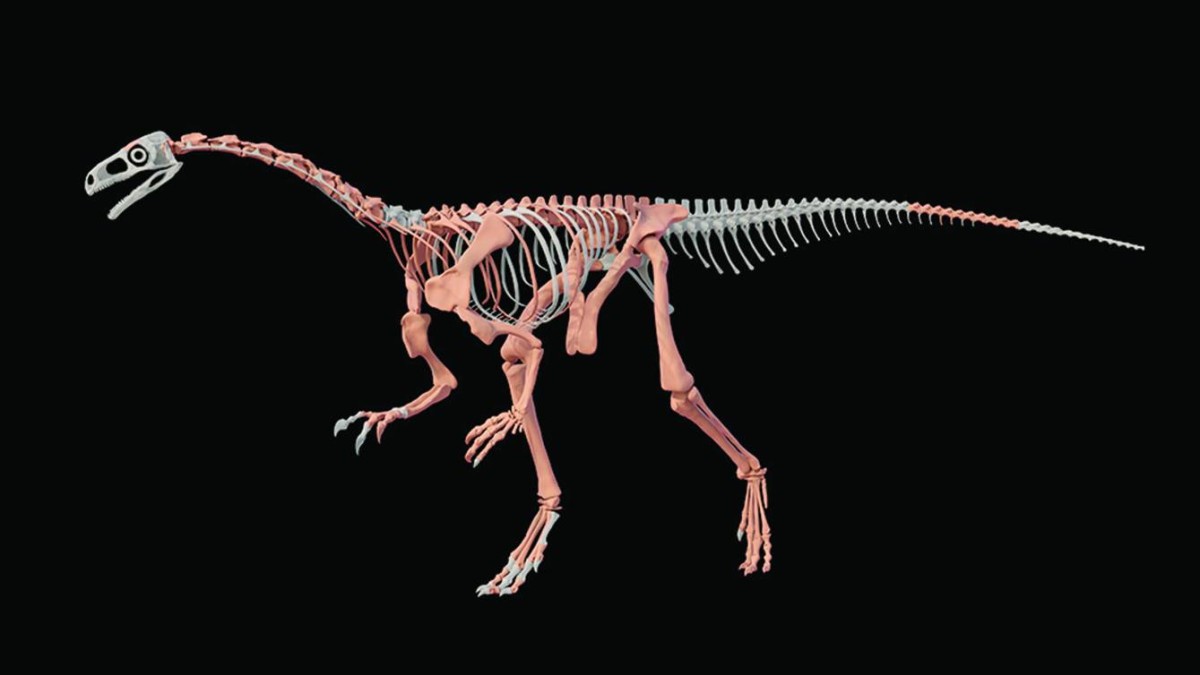 اكتشاف بقايا ديناصور عاش في جبال الإنديز قبل 230 مليون سنة
