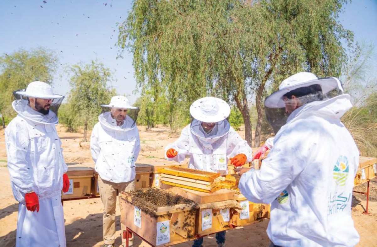 استدامة تربية النحل في محميات الشارقة
