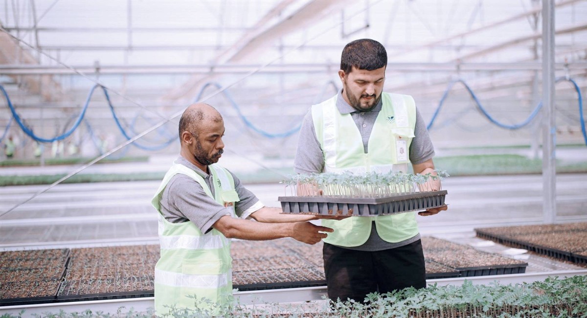 برامج متنوعة لتأهيل أصحاب الهمم