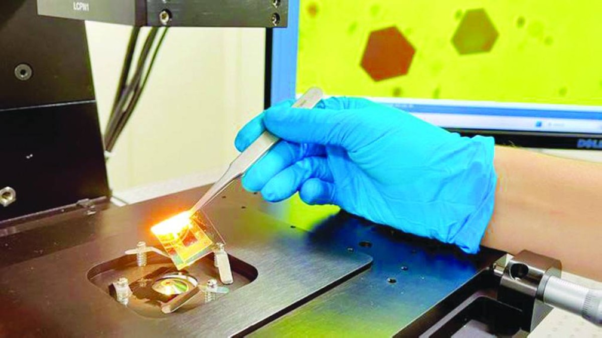 كشف سر «غراء الطبيعة»