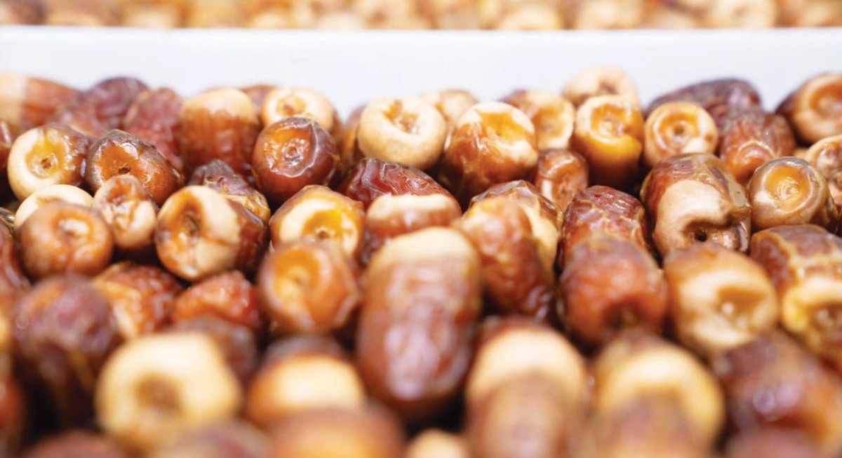 تشجيع وتصنيع التمور من أهم الفعاليات التراثية