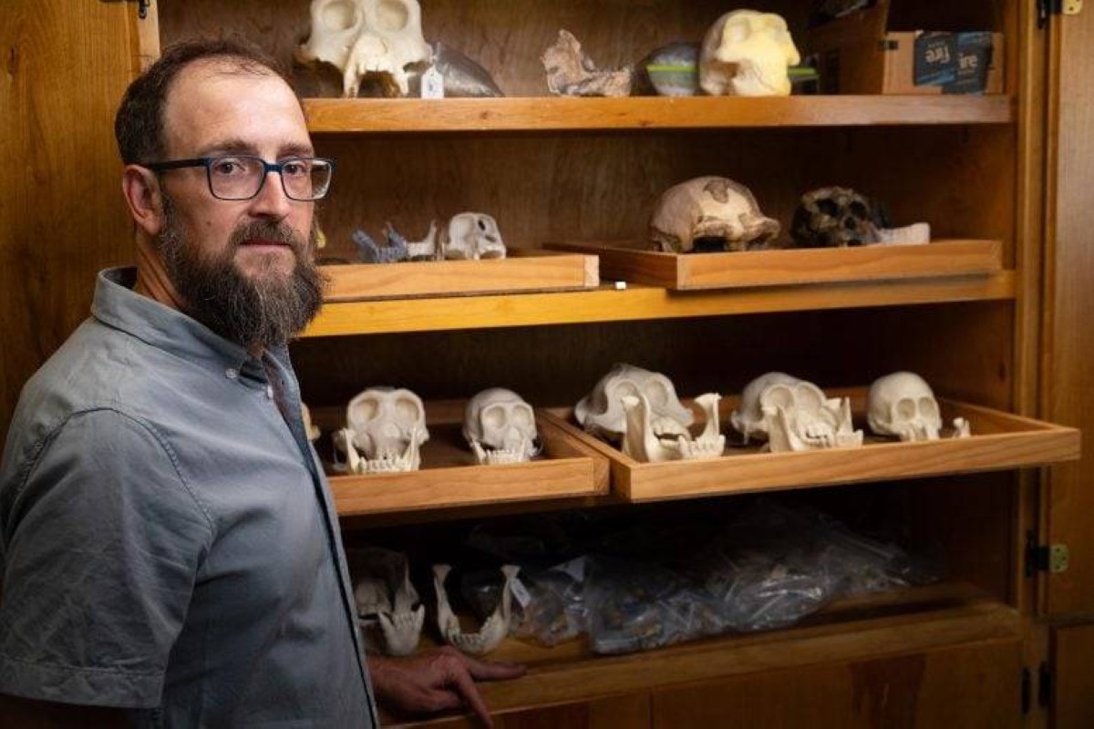 قبل 2.6 مليون سنة.. نوعان من البشر الأوائل عاشا معاً على أرض إفريقيا القديمة