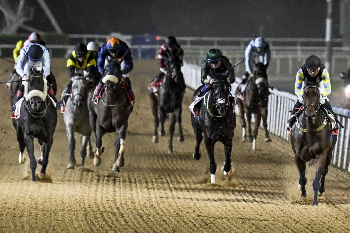 راشد بن دلموك: توافد المدربين الأجانب في الافتتاح يؤكد نجاح كرنفال سباقات دبي