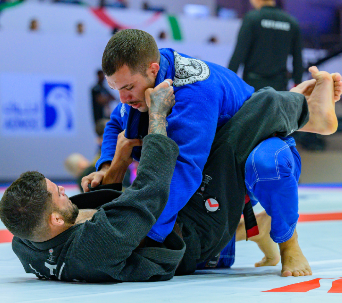 انطلاقة قوية لمنافسات المحترفين في عالمية أبوظبي للجوجيتسو