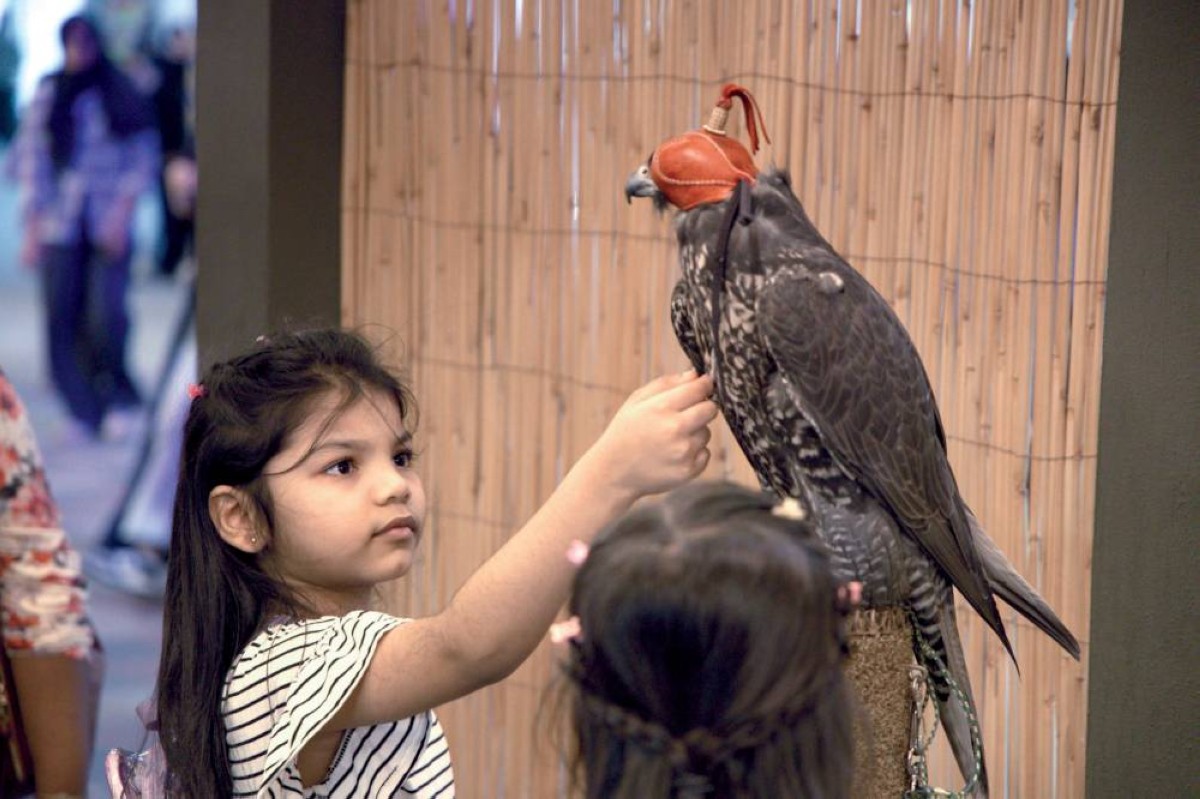 إقبال لافت على جناح نادي صقاري الإمارات في المهرجان من مختلف الجنسيات والفئات العمرية