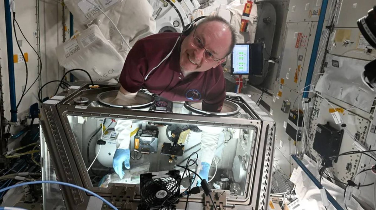 محطة الفضاء الدولية.. «مختبر للقلوب» والأنسجة في انعدام الوزن