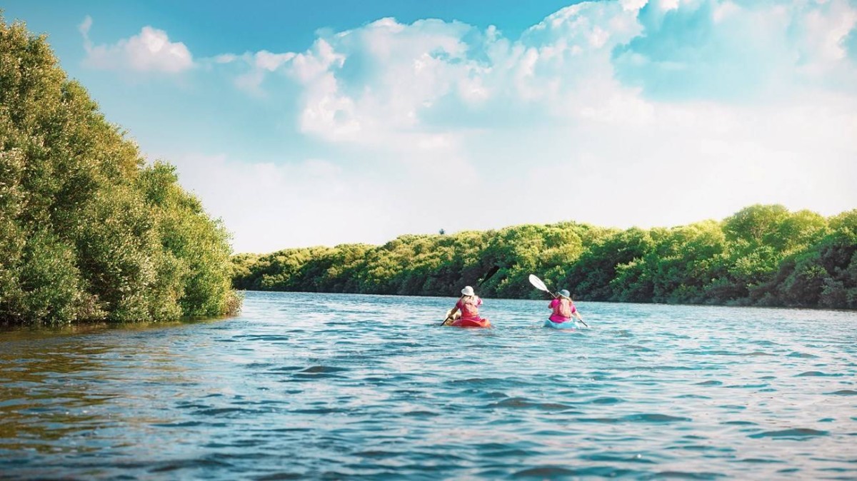 توسعة المحميات الطبيعية إلى 20 % من مساحة أبوظبي البحرية