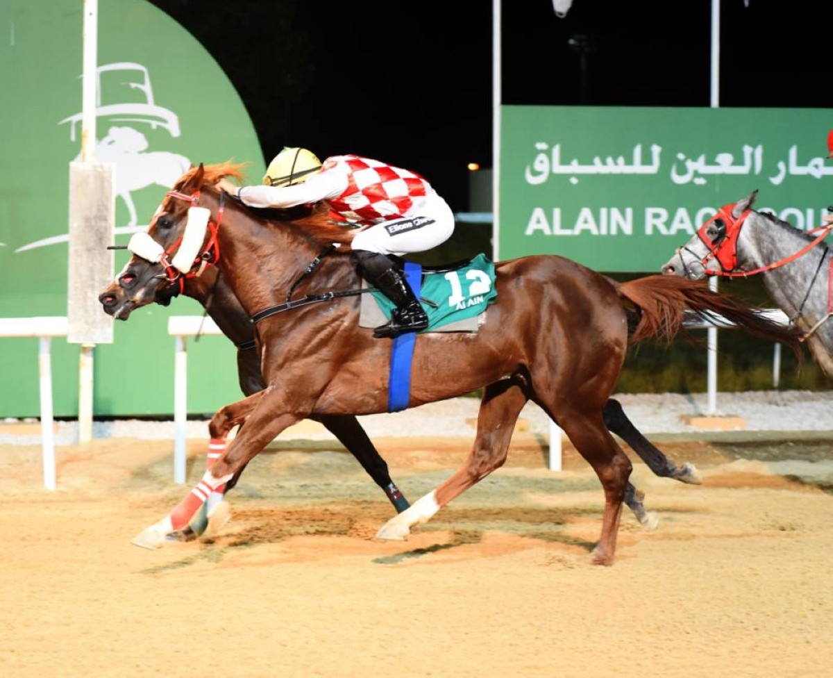 7 أشواط في السباق الثاني لمضمار نادي العين للفروسية والرماية