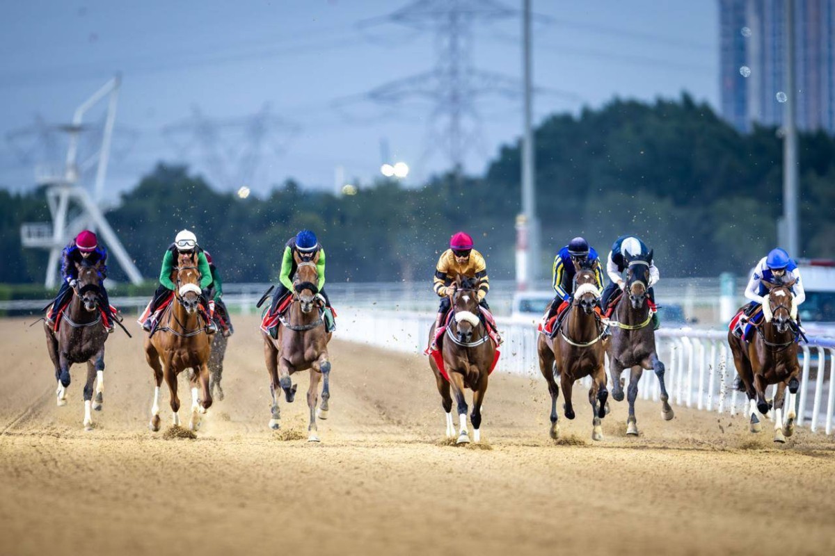45 خيلاً تشارك في السباق التجريبي التاسع بمضمار ميدان