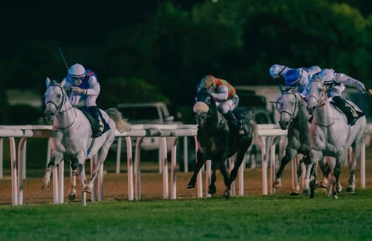كأس رئيس الدولة للخيول العربية تنطلق 6 ديسمبر بمضمار أبوظبي
