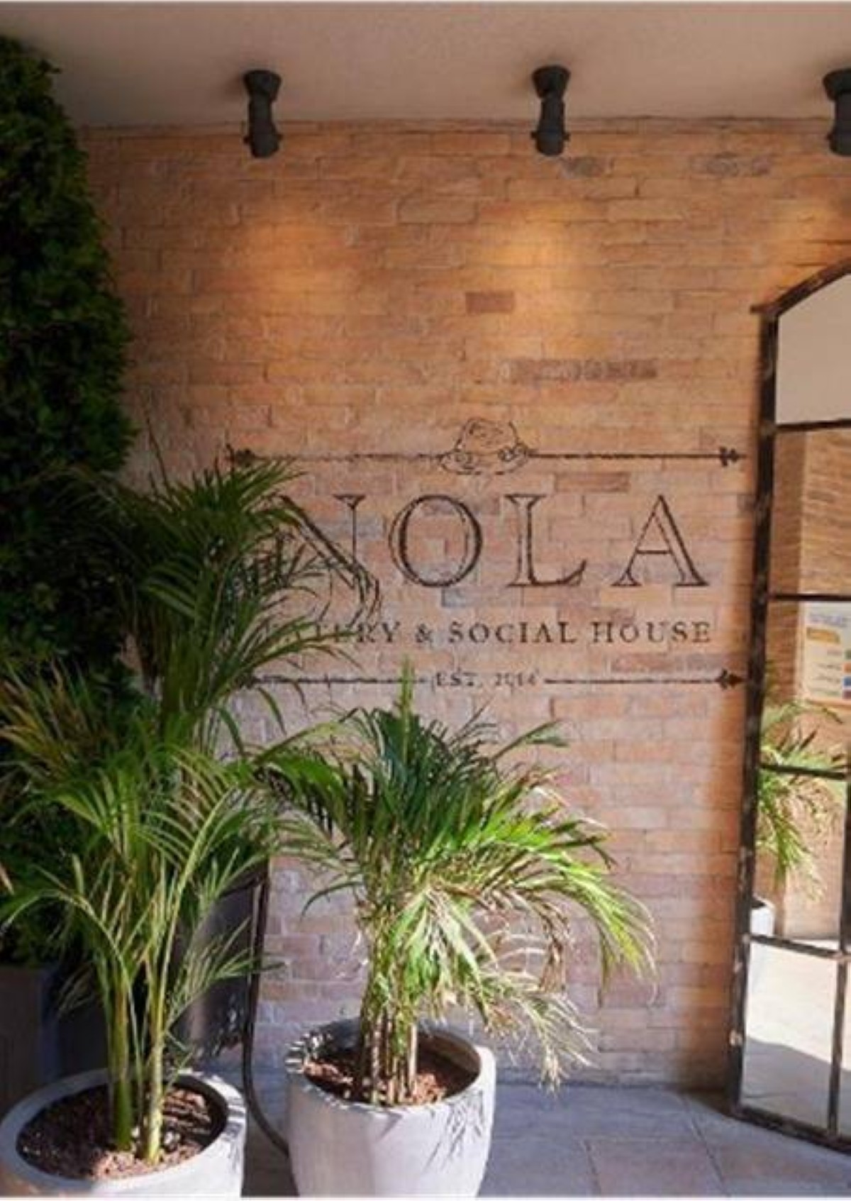 ميثوس ونولا يحتفلان بعشر سنوات من التميّز في عالم المذاق