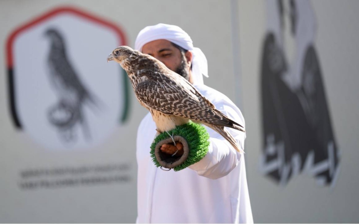 «كأس الإمارات العالمي» لسباقات الصقور تنطلق الخميس المقبل بالكويت