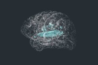 خلايا دماغية تمكّن من فهم الكلام السريع