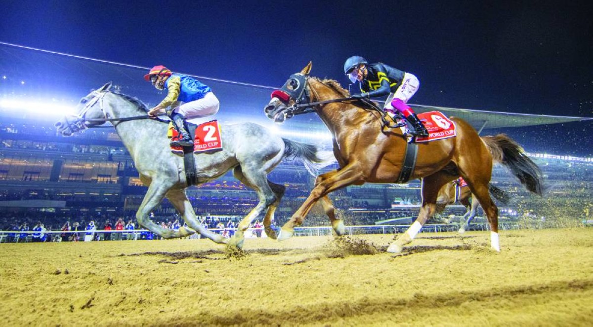 الرياضة الإماراتية.. قفزات هائلة وحضور قوي في المشهد العالمي