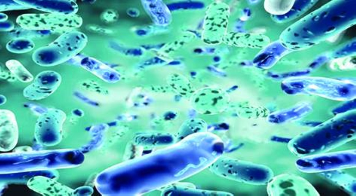 بكتيريا «تتظاهر بالموت»