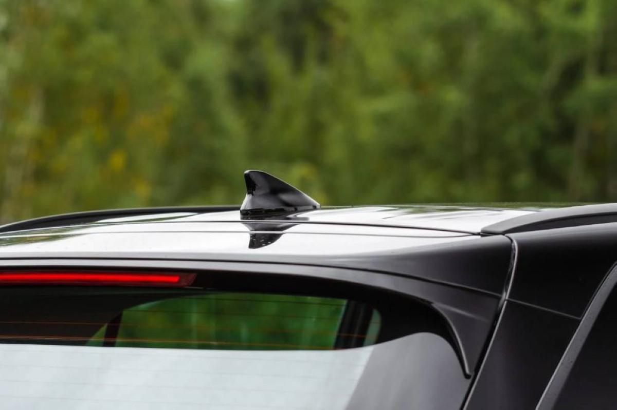 وظائف غير متوقعة.. ما أهمية زعنفة القرش في سيارتك؟