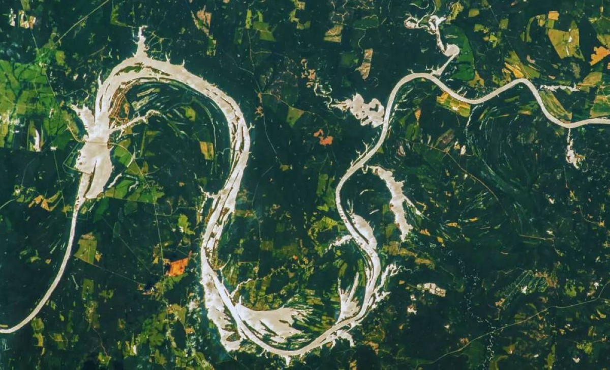 ظاهرة نادرة مذهلة.. نهر ألاباما يتحوّل إلى "تنين ذهبي"