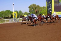 70 خيلاً في الحفل الرابع على مضمار جبل علي