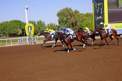 70 خيلاً في الحفل الرابع على مضمار جبل علي