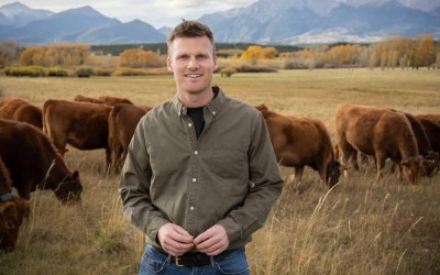 أبقار بلا حدود..  شاب يحدث ثورة في تربية الماشية