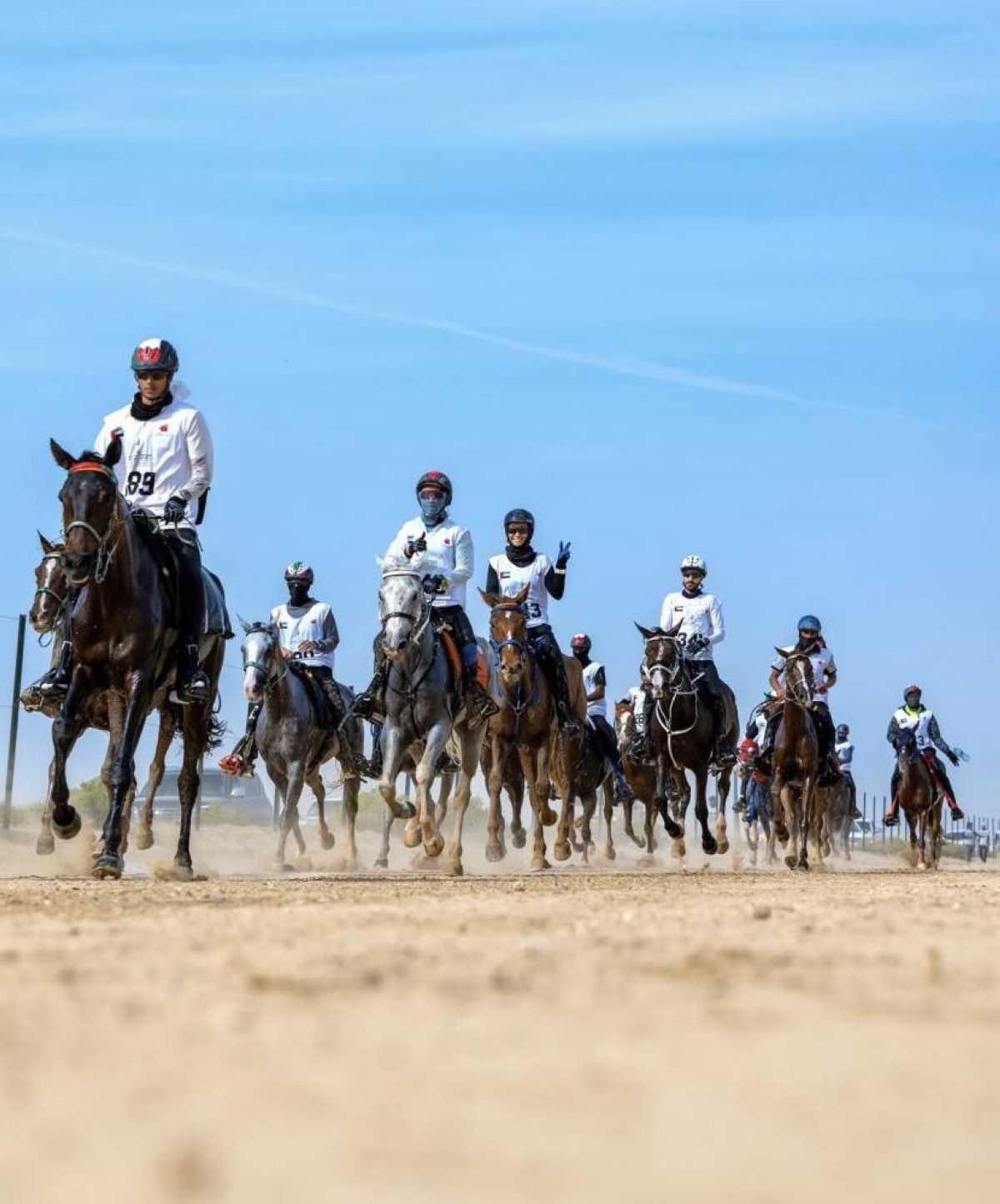 مكرمة جديدة لأهل الخيل في مهرجان محمد بن راشد للقدرة