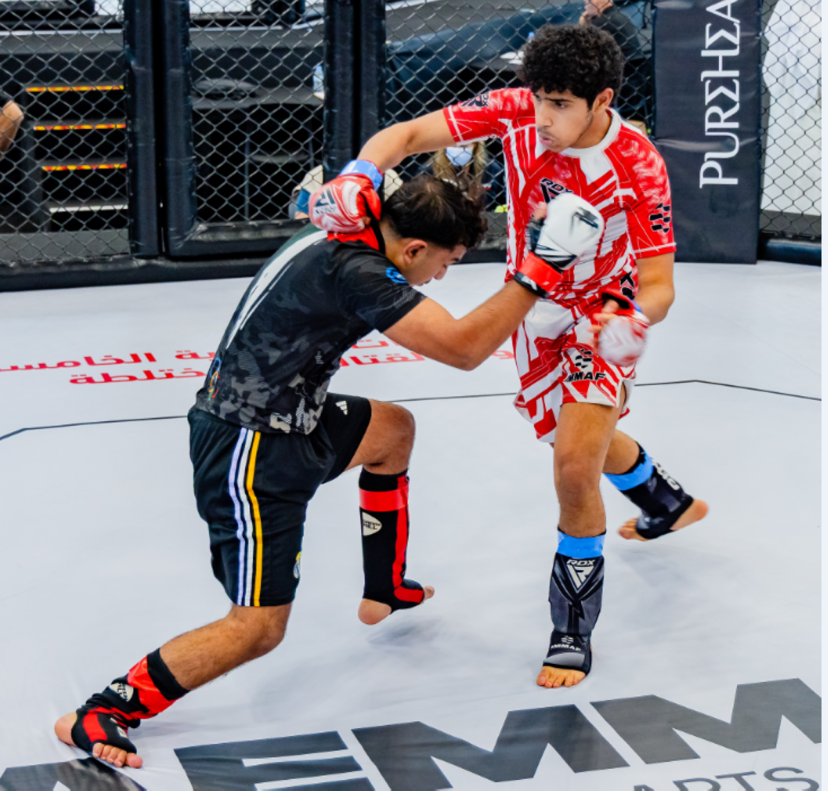 ختام بطولة الإمارات الوطنية للفنون القتالية المختلطة بالعين