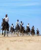 مكرمة جديدة لأهل الخيل في مهرجان محمد بن راشد للقدرة