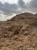 جولة إعلامية في موقع الفاية للتعريف بأهميته الحضارية والتاريخية