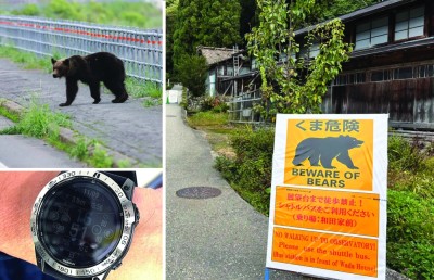 «ساعة» توثق اللحظات الأخيرة لمتنزه قتله دب