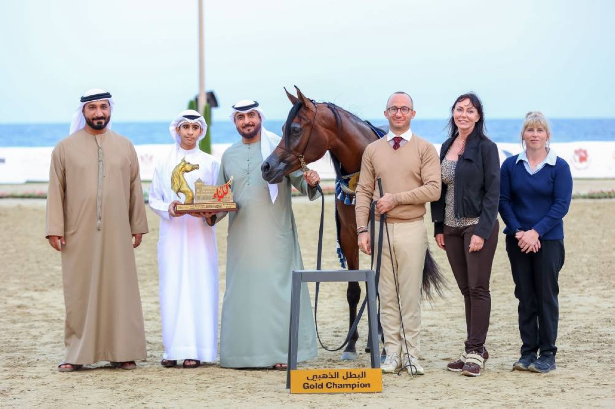 ختام ناجح لمهرجان الشارقة كلباء السابع للجواد العربي