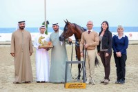 ختام ناجح لمهرجان الشارقة كلباء السابع للجواد العربي