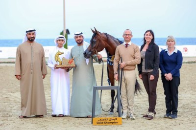 ختام ناجح لمهرجان الشارقة كلباء السابع للجواد العربي