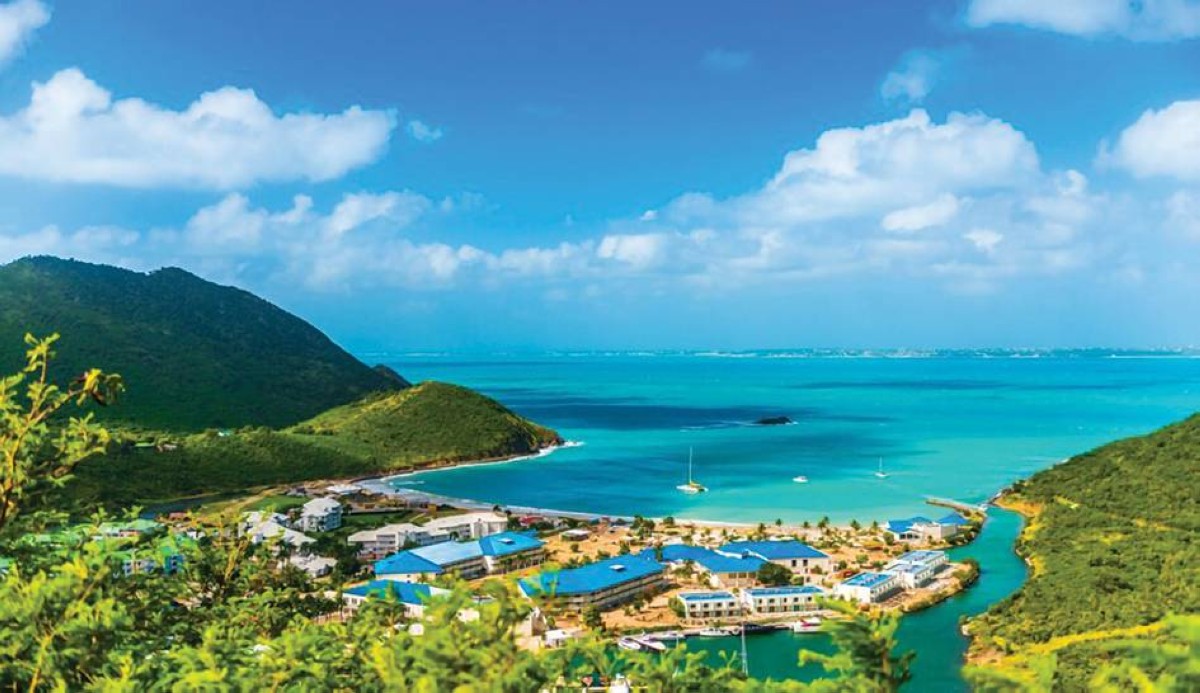 100 نوع جديد من الكائنات