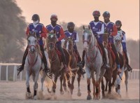 «الاسطبلات الخاصة» يدشن فعاليات كأس رئيس الدولة للقدرة في «بوذيب»