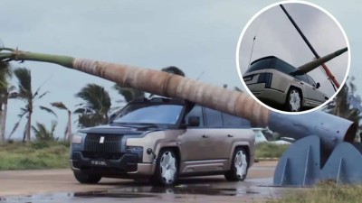 شجرة بوزن طنين تسقط على سيارة كهربائية.. شاهد ماذا حدث