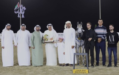 «مرابط دبي» تؤكد تميزها بمهرجان الشارقة كلباء السابع للجواد العربي