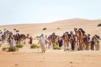 رحلة الهجن.. رسالة تاريخية وثقافية من قلب الصحراء