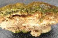 صخور حيّة تنمو وتتنفّس.. عمرها مليارات السنين تفاجئ العلماء