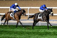 خيول جودلفين تألقت في أمسية «فستيف فرايداي» | تصوير: باتريك كاستيلو