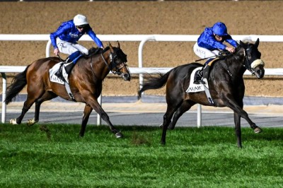 خيول جودلفين تألقت في أمسية «فستيف فرايداي» | تصوير: باتريك كاستيلو