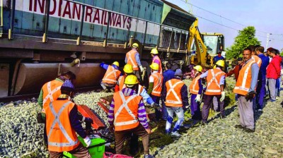 قطار ركاب فائق السرعة يدهس 7 فيلة